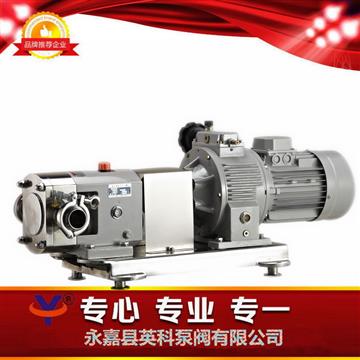 LQ3A不銹鋼轉(zhuǎn)子泵